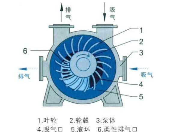 浙江水環(huán)式真空泵工作原理圖